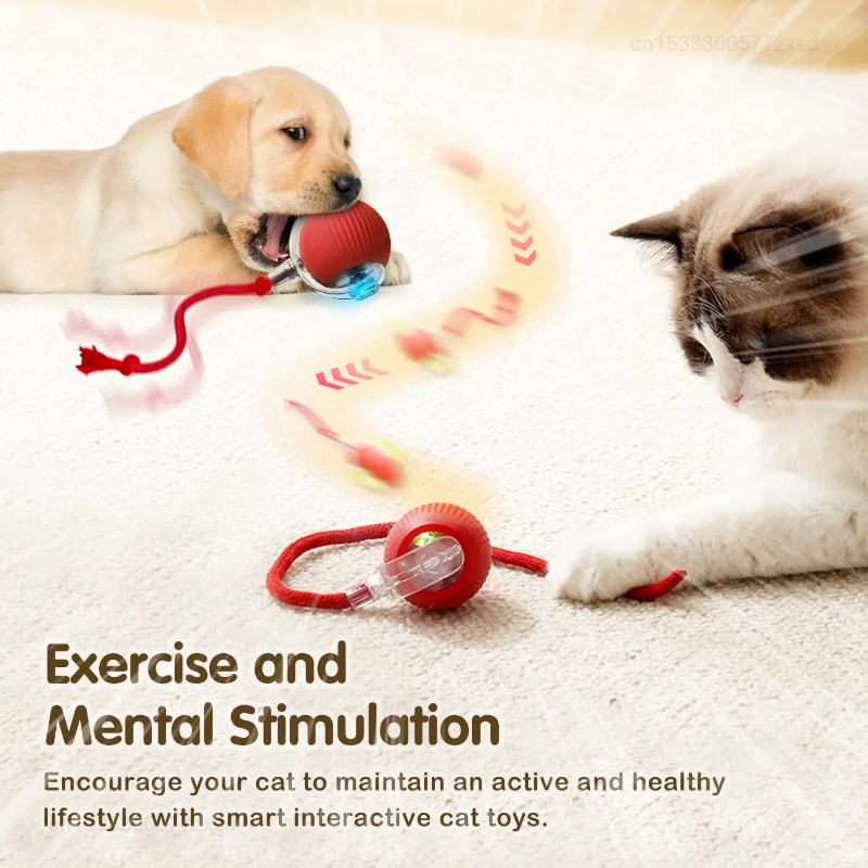 Cat Interactive Ball Toy Autom - Interactive Cat Toy recensione e prezzo