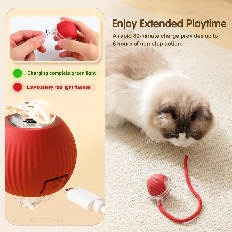 Cat Interactive Ball Toy Autom - Interactive Cat Toy recensione e prezzo