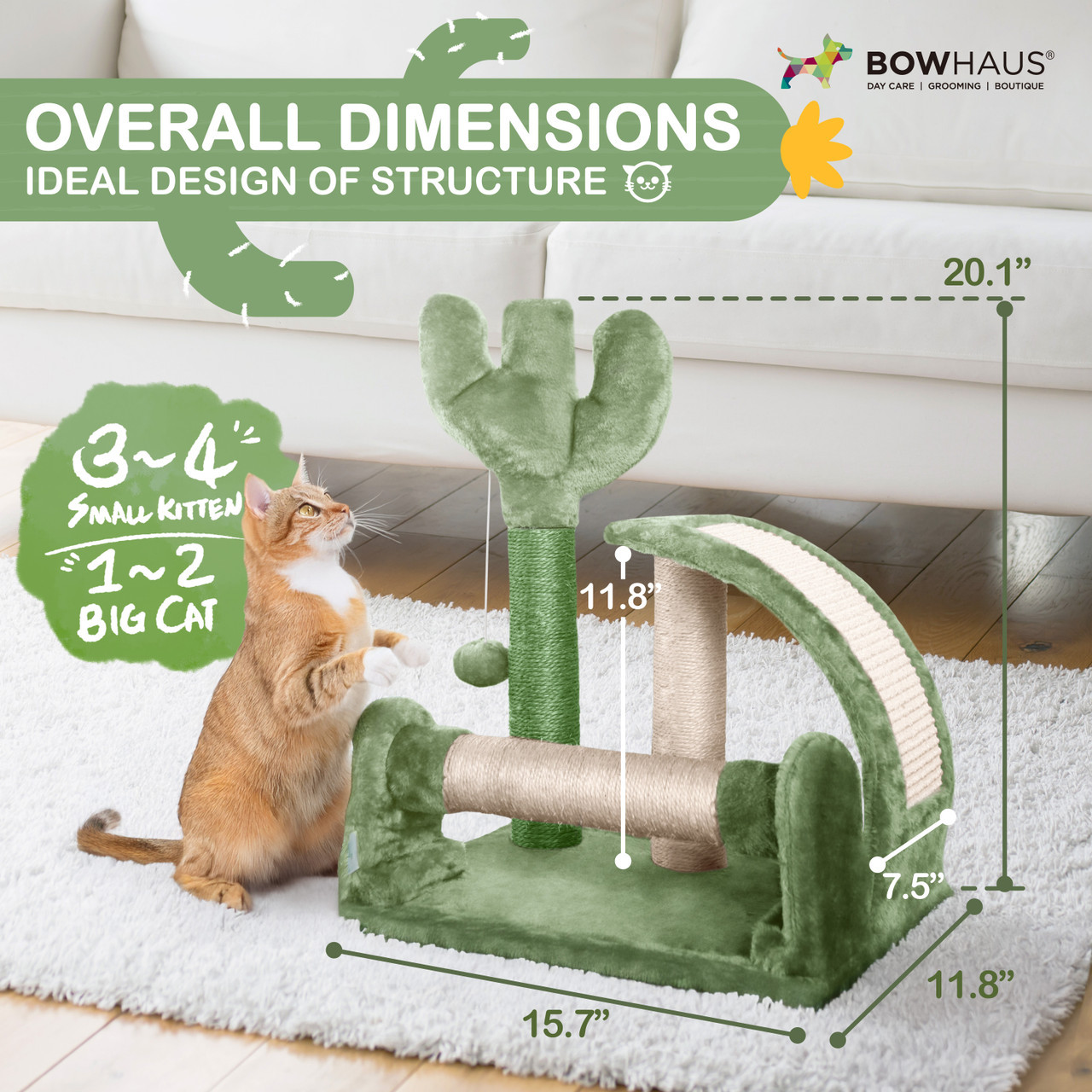 CAPHAUS Cactus Cat Tree Tower  - Interactive Cat Toy recensione e prezzo