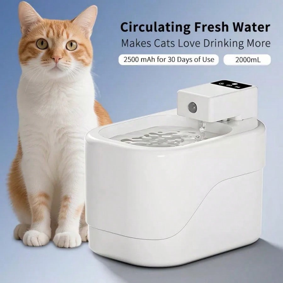 Smart Cat Water Fountain Autom - Pet Water Fountain recensione e prezzo